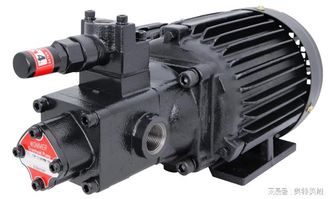 穩(wěn)定運行降低噪音——潤滑齒輪油泵為工業(yè)設備帶來寧靜環(huán)境(圖1)